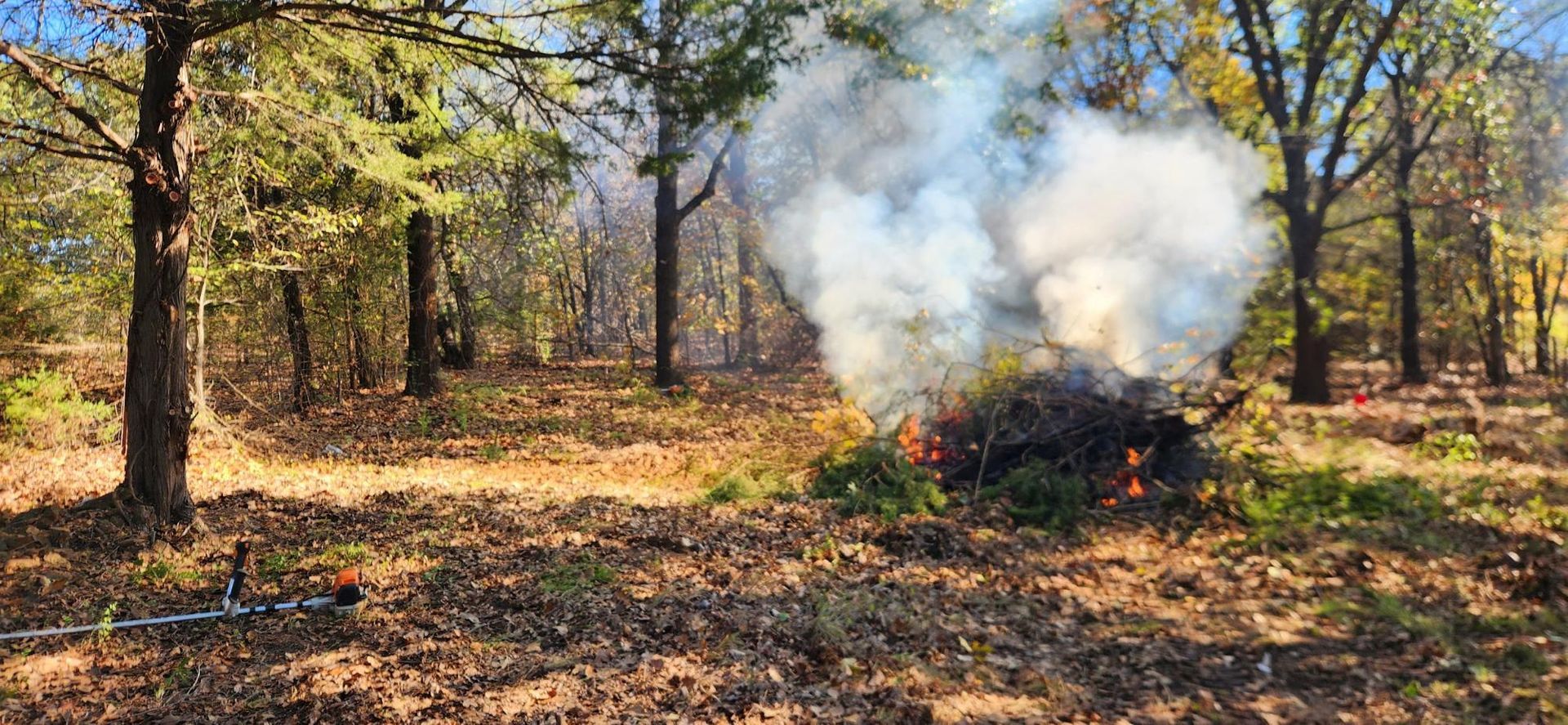 Small controlled brush fire in a wooded area, with white smoke rising among autumn trees.