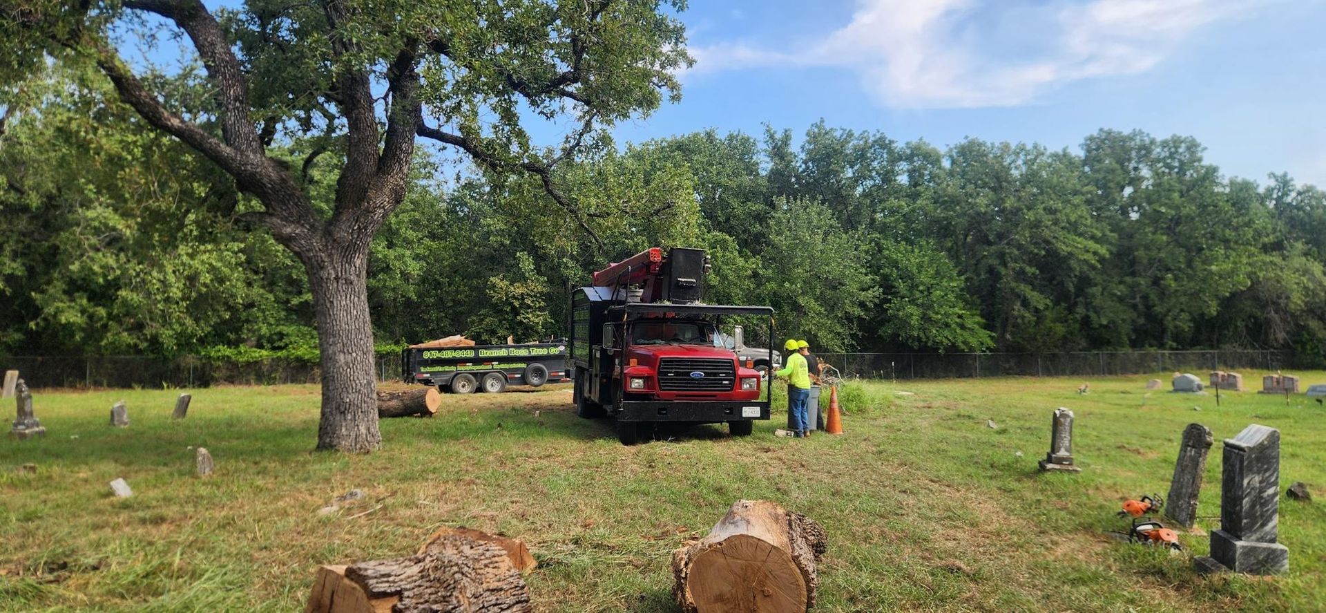 Tree trimming crew beside a red chipper truck in a grassy yard with scattered logs and cut stumps