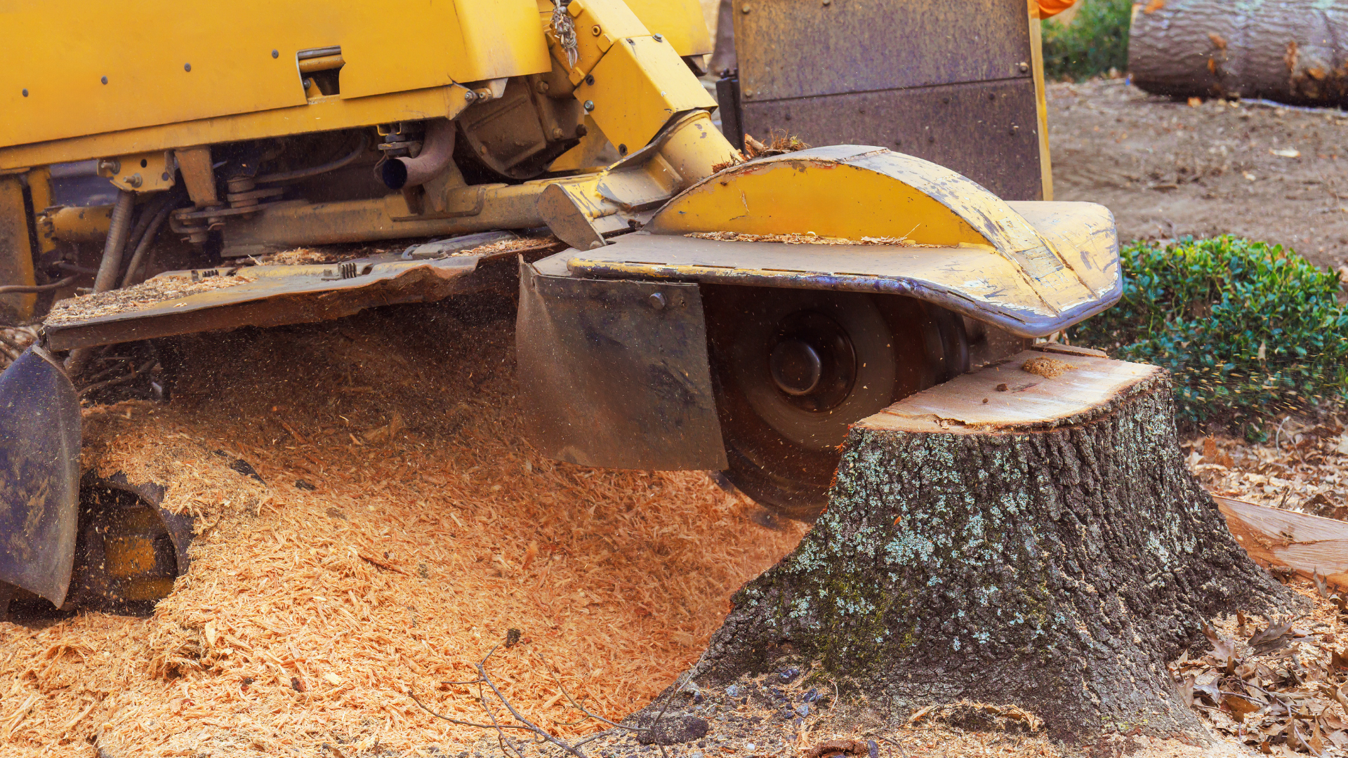Yellow wood chipper discharging a pile of fresh wood chips outdoors