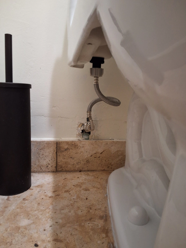 A toilet with a hose attached to it in a bathroom next to a toilet brush.