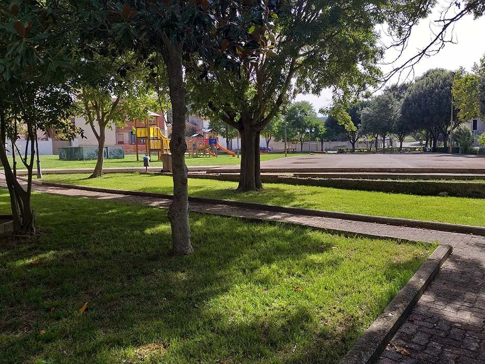 area verde con prato
