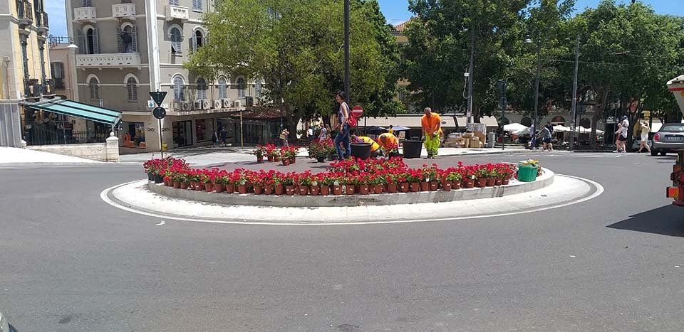 aiuola pubblica con fiori e piante