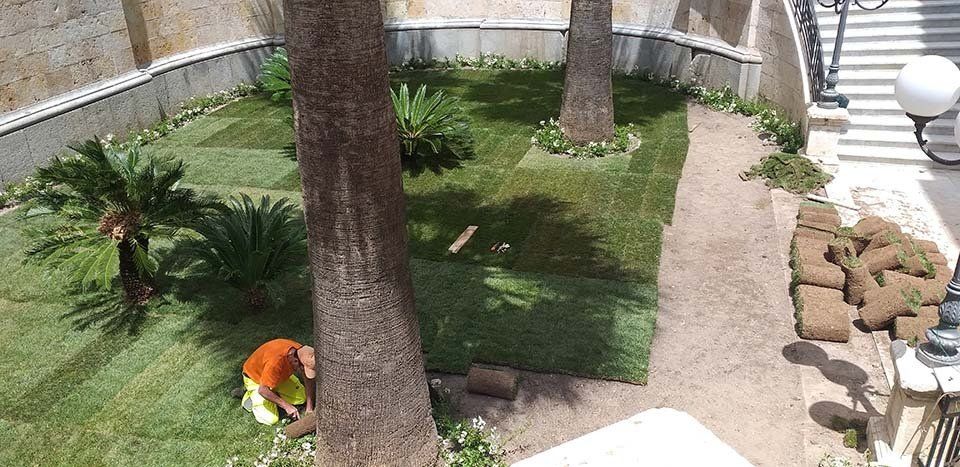 giardino con alberi