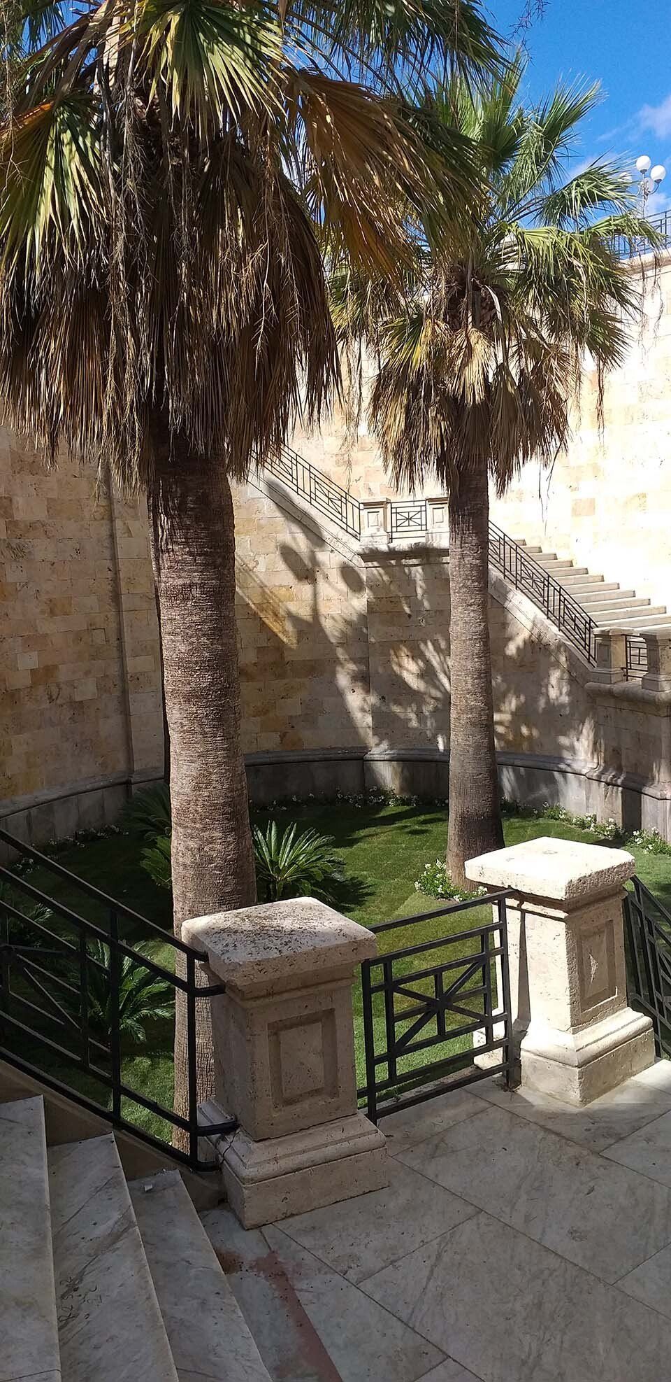 giardino con palme