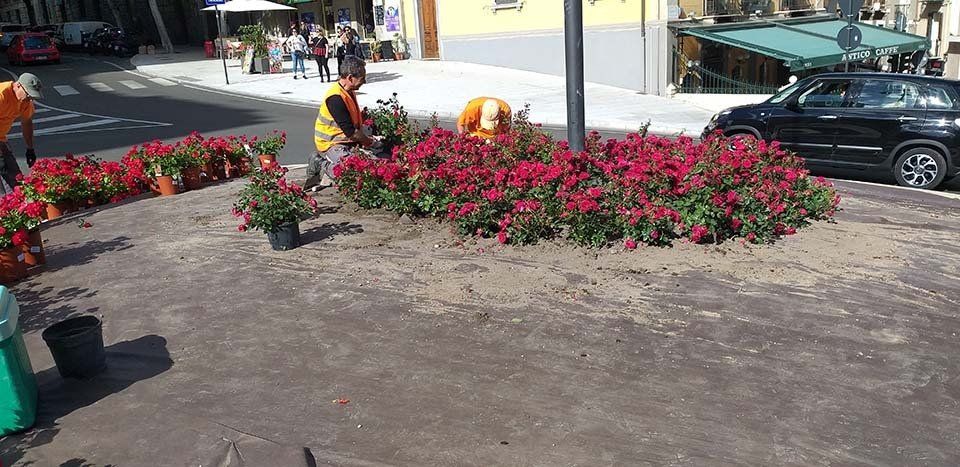 aiuola con fiori