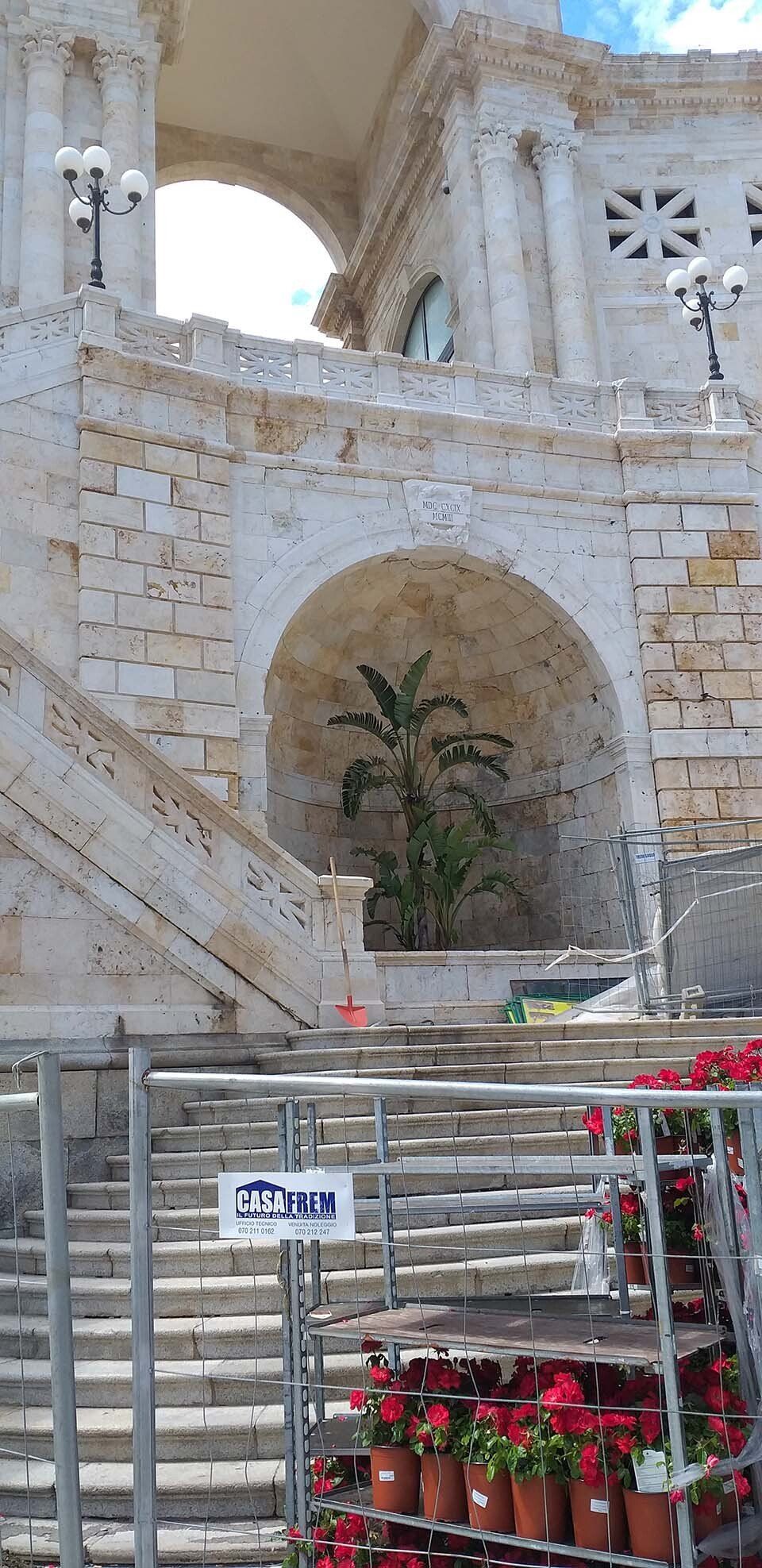 aiuole con piante