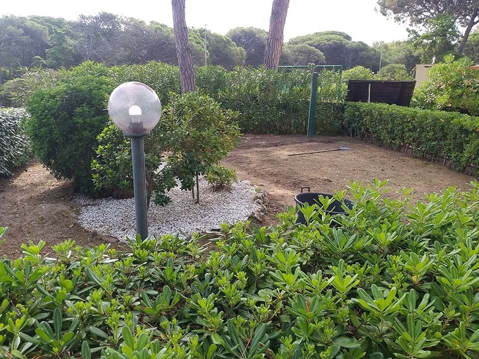 piante da siepe