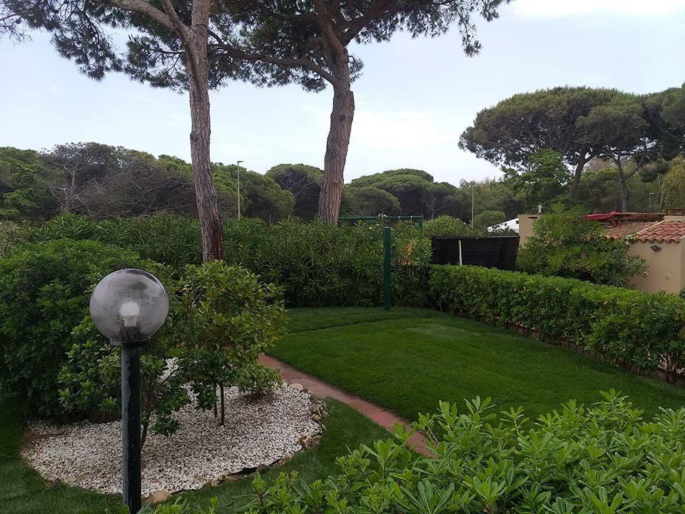 grande giardino con pini