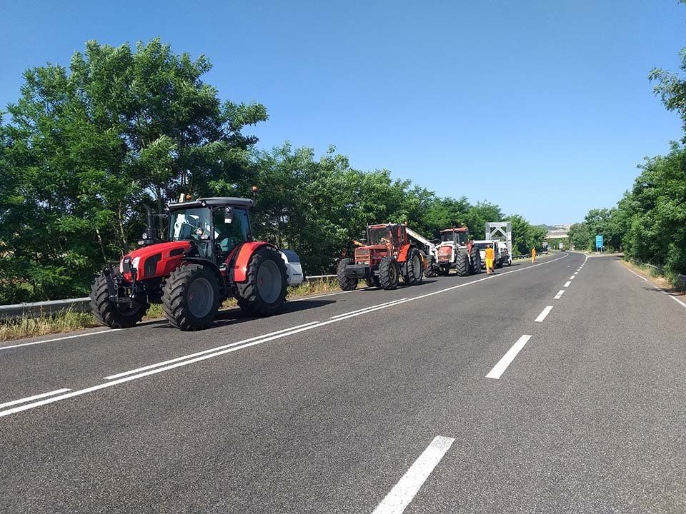 asfalto strada