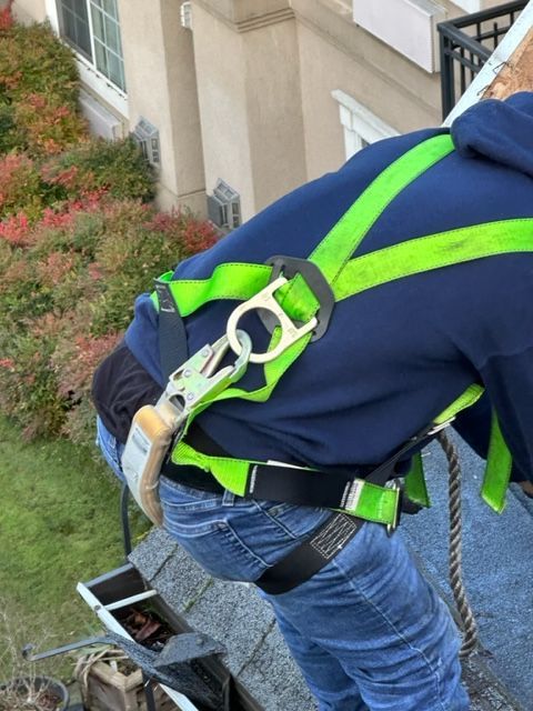 fall protection training
