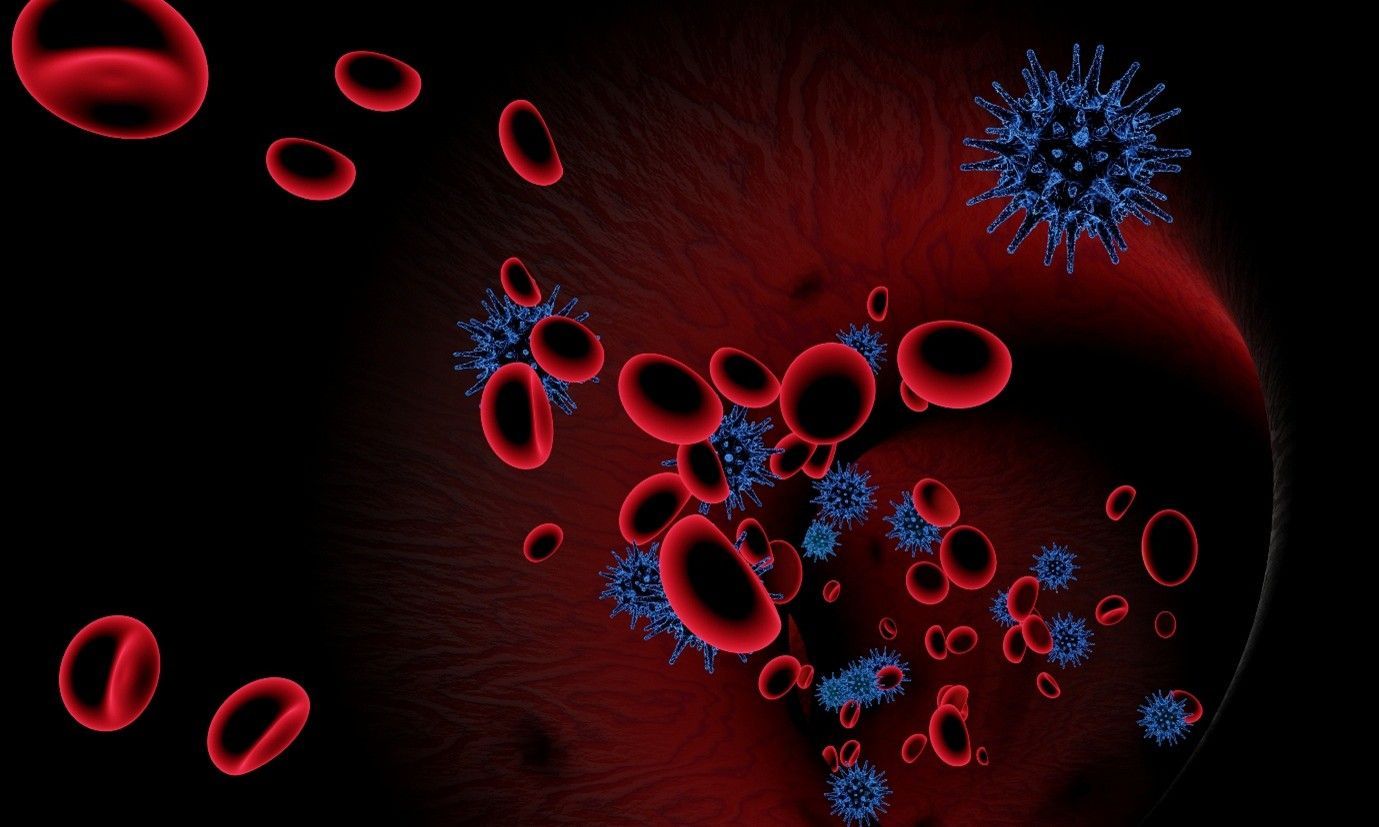  bloodborne pathogen