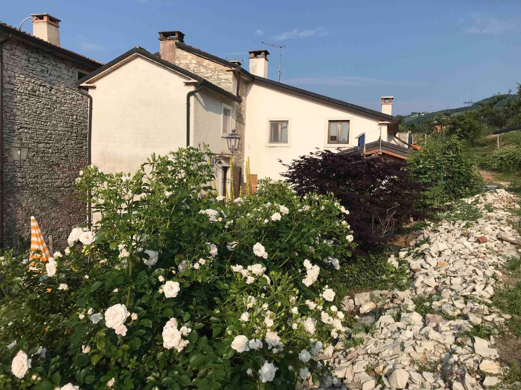 Fiori bianchi in fiore davanti a un edificio chiaro con un muro in pietra e camini; ambiente soleggiato all'aperto.