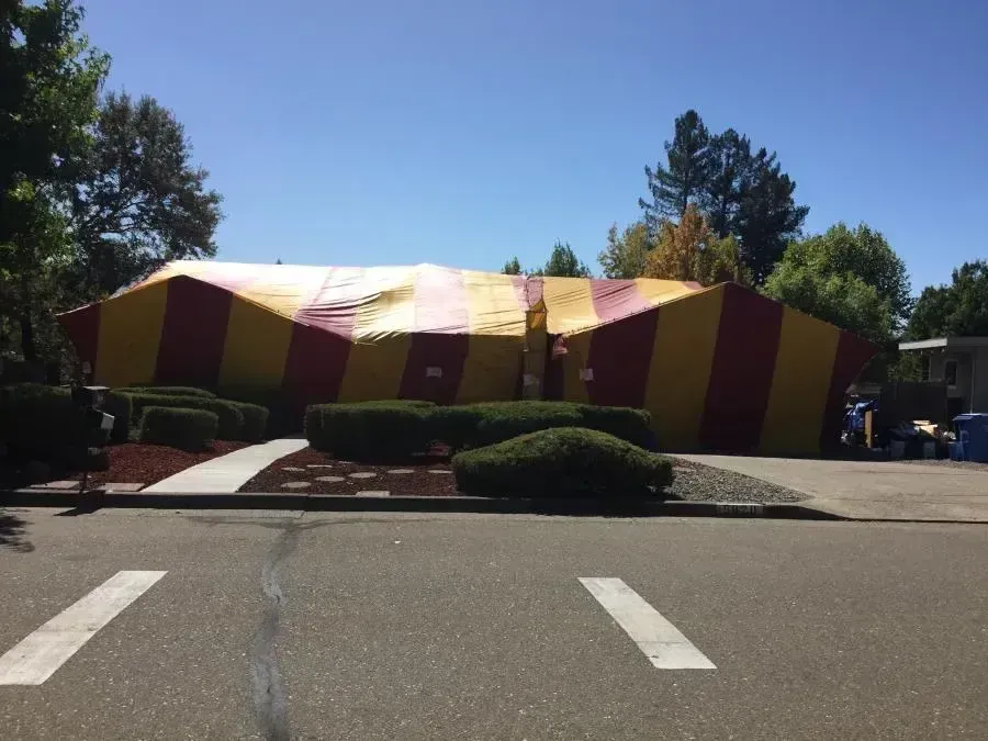 Fumigation