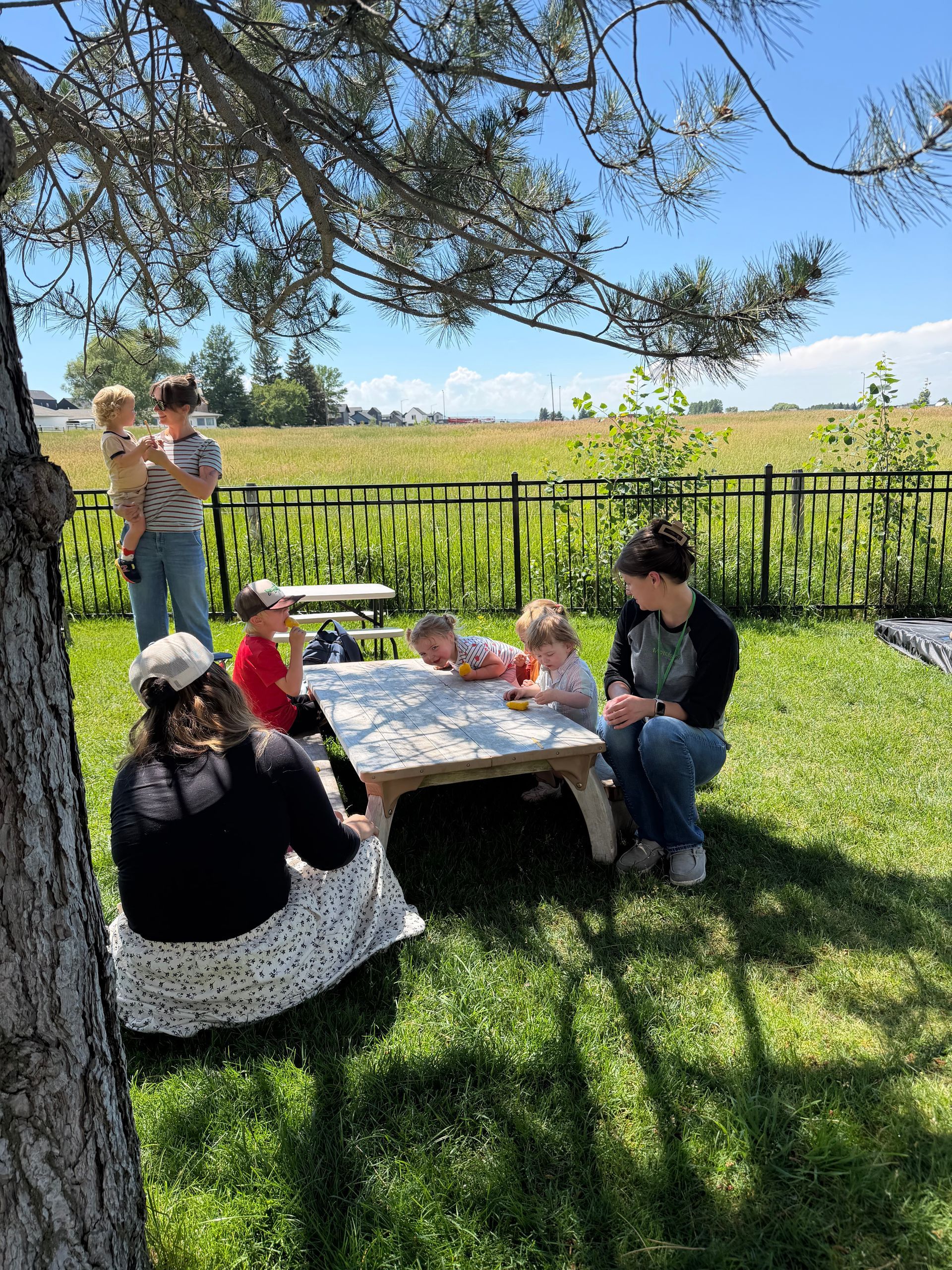 People sitting at a picnic table, with a field and fence in the background.