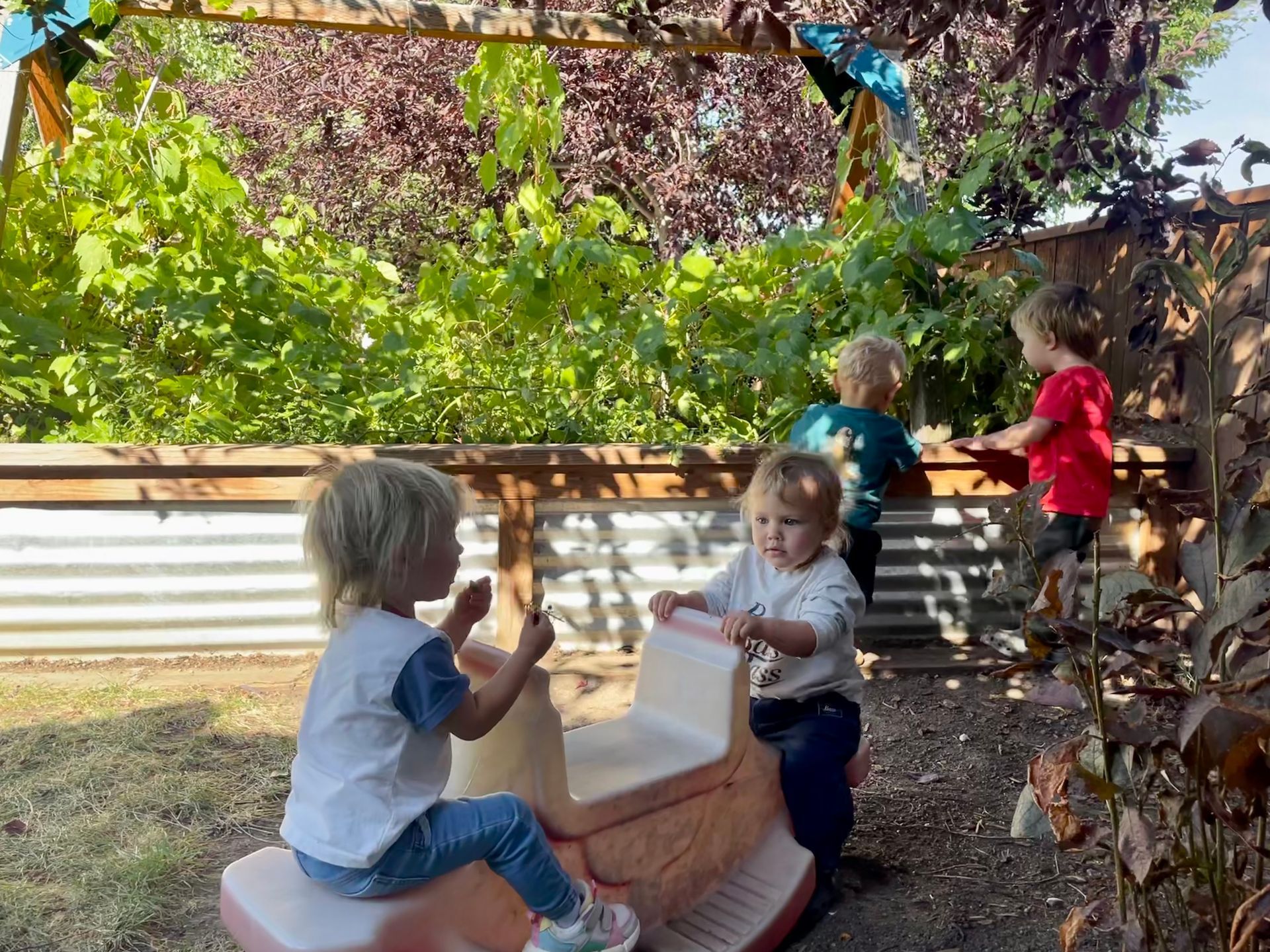 Children playing in a backyard, climbing on a wooden structure under green vines.