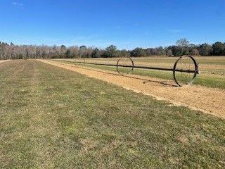 A dirt road going through a grassy field with a wooden fence.