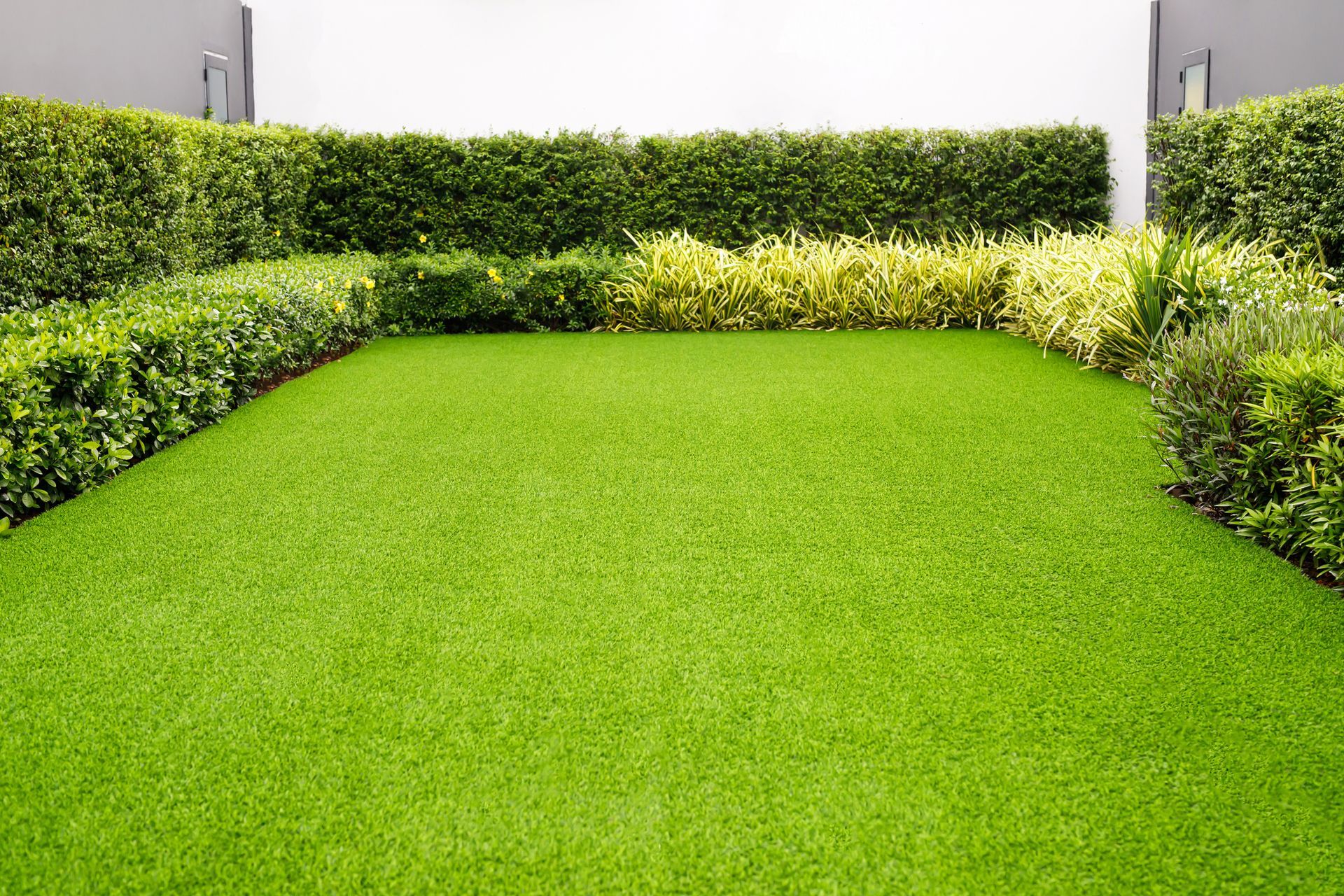 A lush green lawn surrounded by bushes and shrubs in a garden.