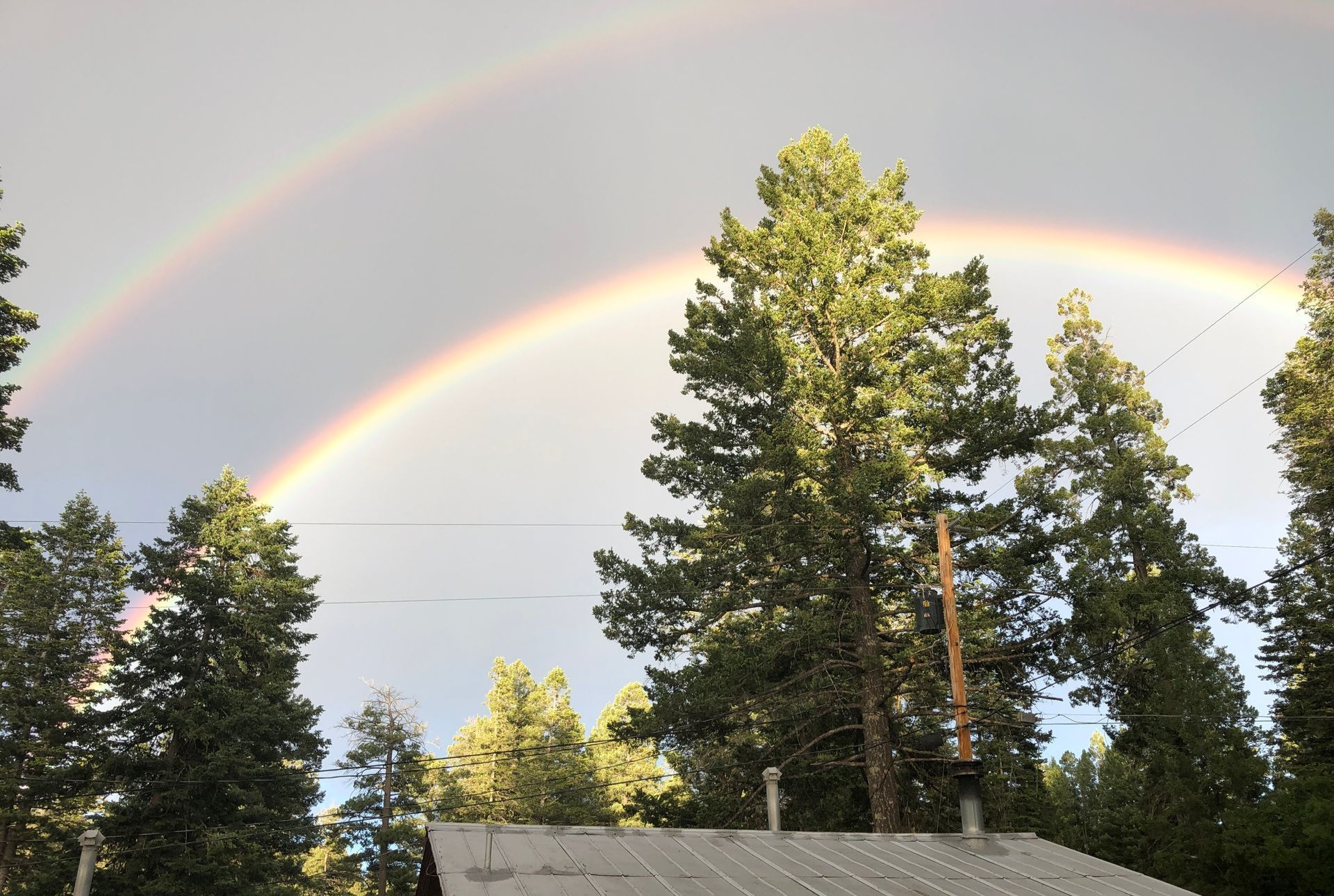A vibrant double rainbow arches over a silhouetted forest of pine trees and a roofline against a cloudy sky.