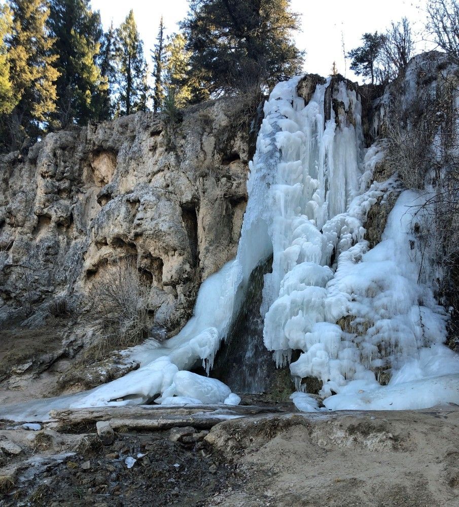 A frozen waterfall cascades down a rocky cliff face surrounded by evergreen trees under a bright sky.