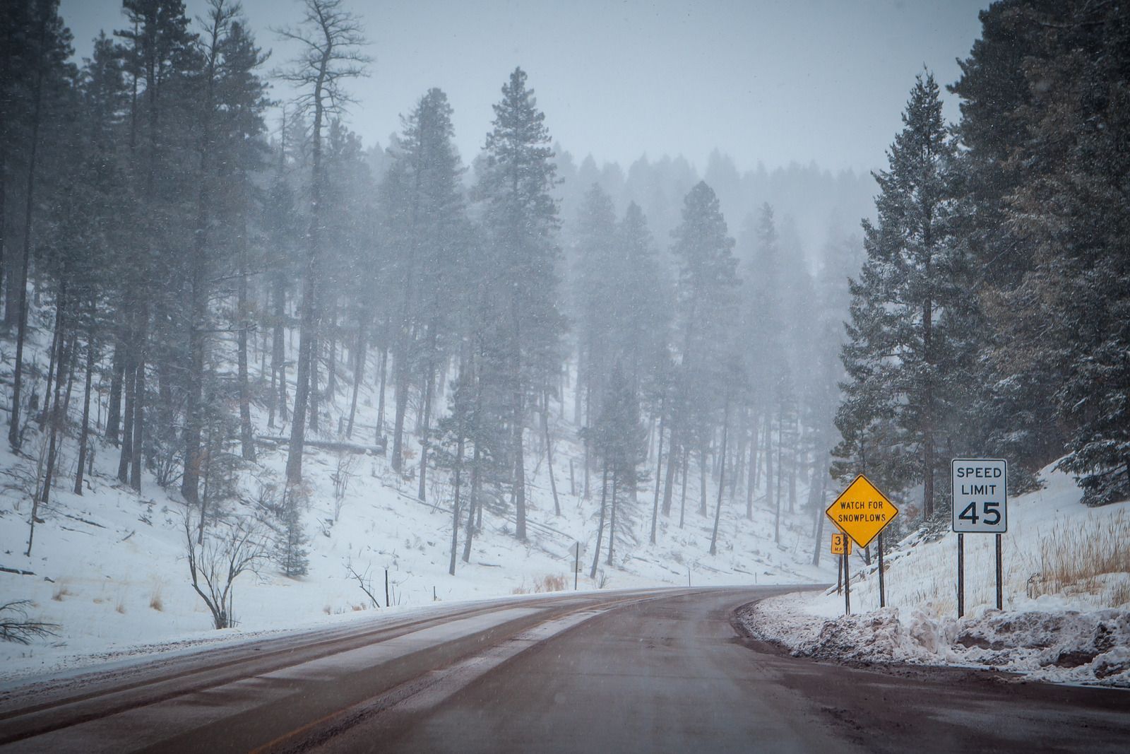 A snowy, forested road with a yellow winding road sign and a speed limit sign under a cloudy sky.
