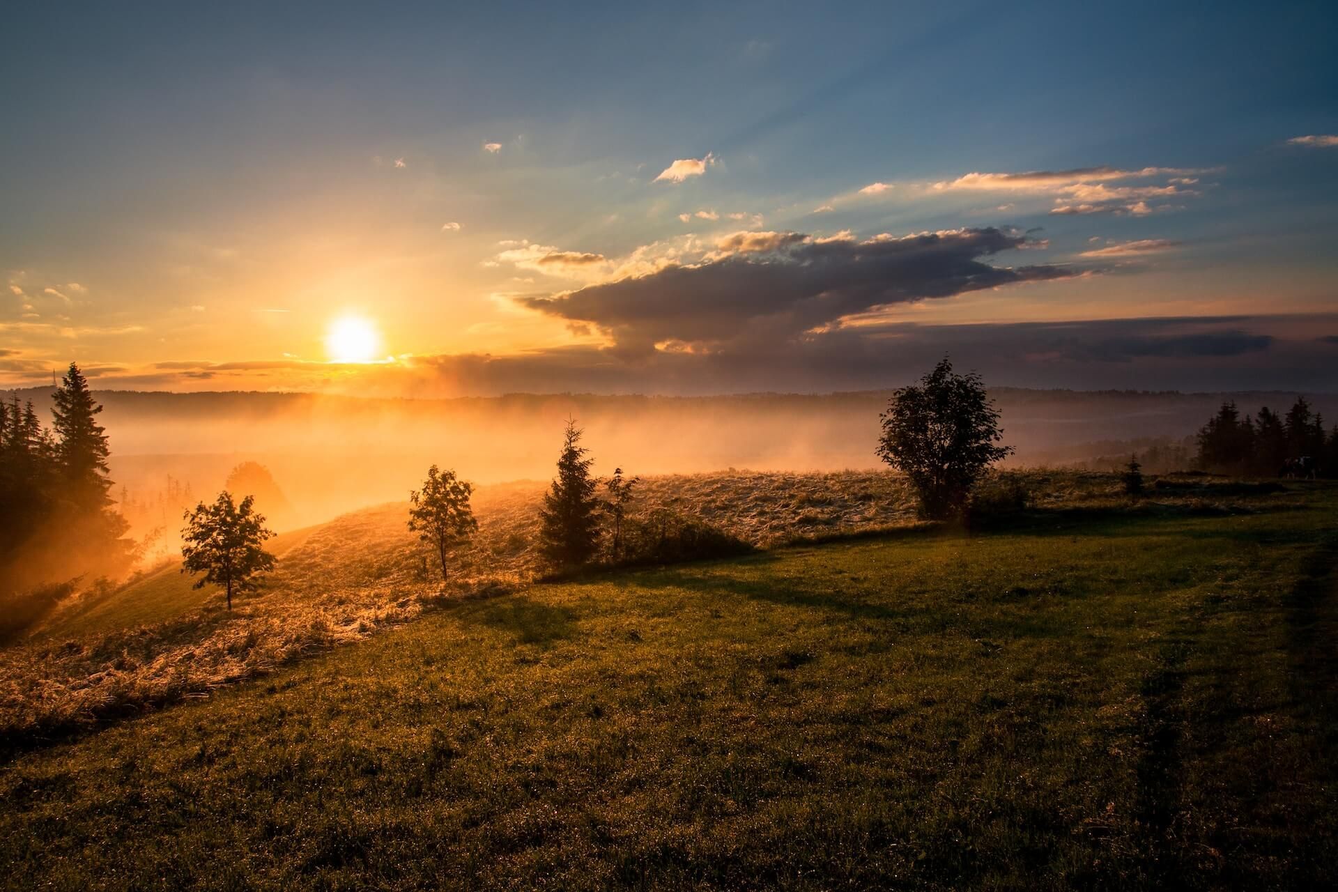 Sunrise over a grassy field with silhouetted trees and glowing orange clouds