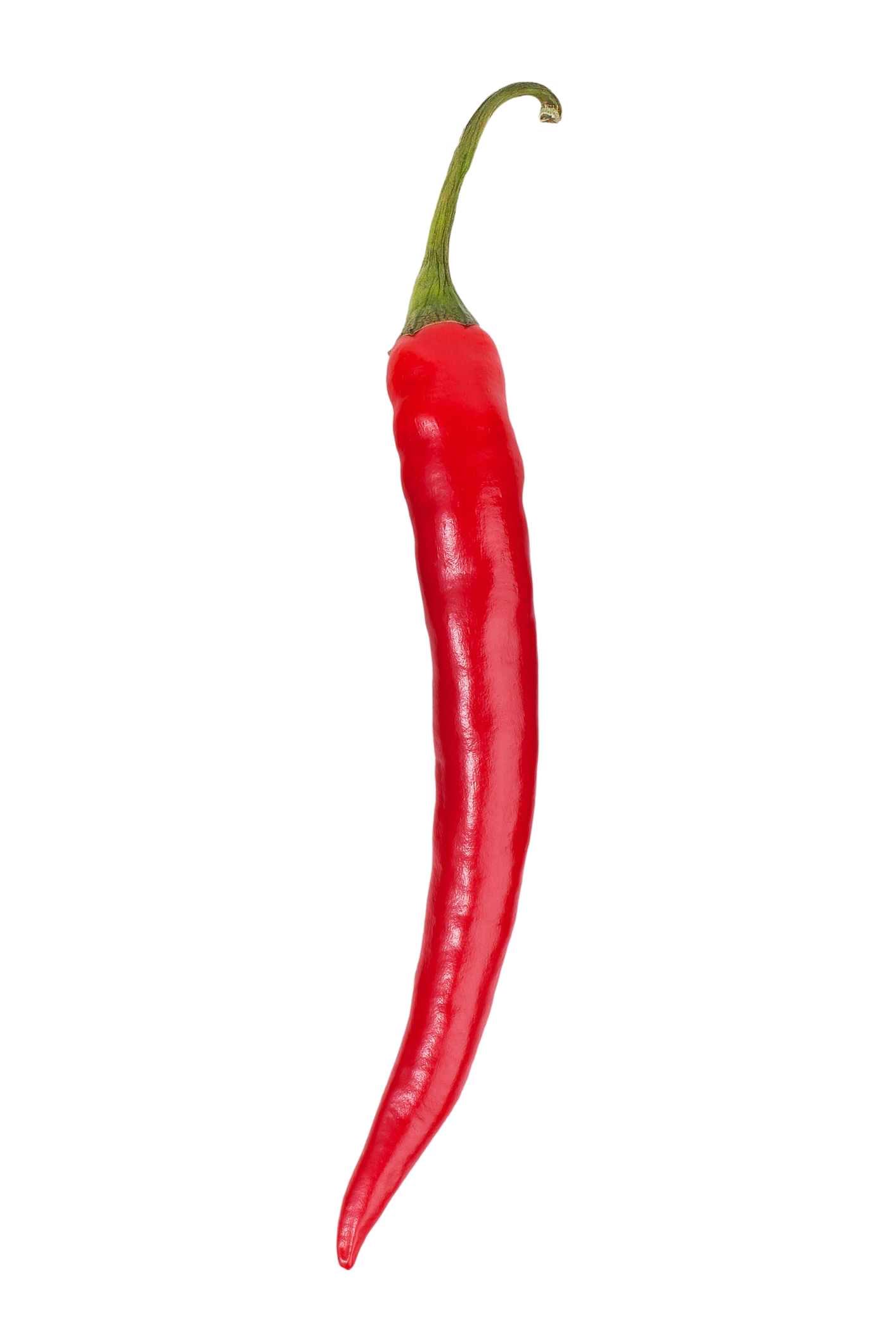 Red chili pepper with green stem, against a white background. Red chili pepper with green stem, against a white background.