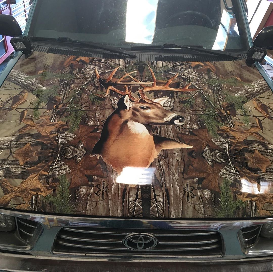 The hood of a car with a deer on it