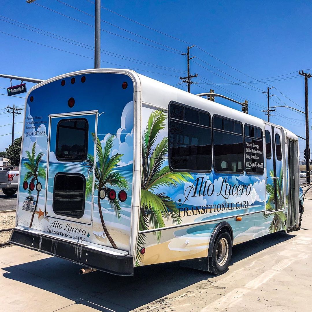 A white bus with palm trees on the side is parked on the side of the road.