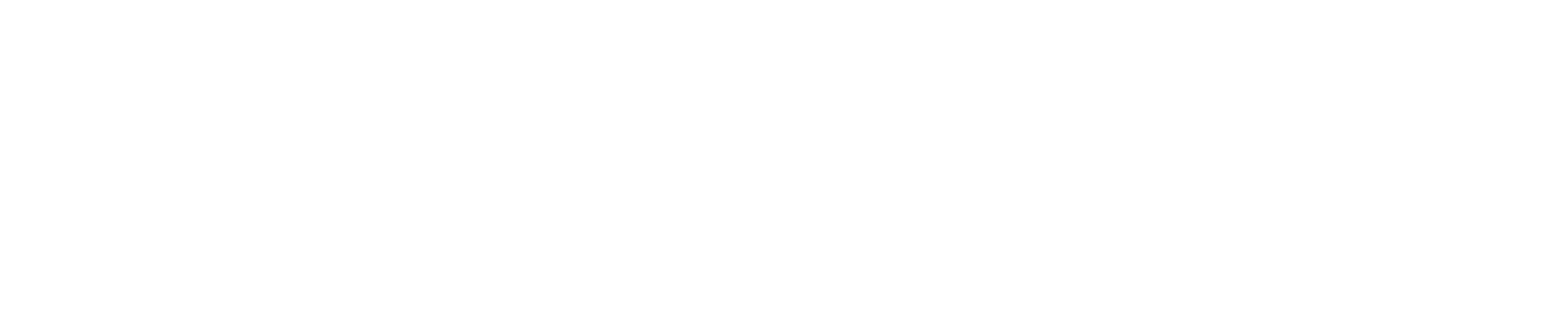 Critter-detective-wildlife-control
