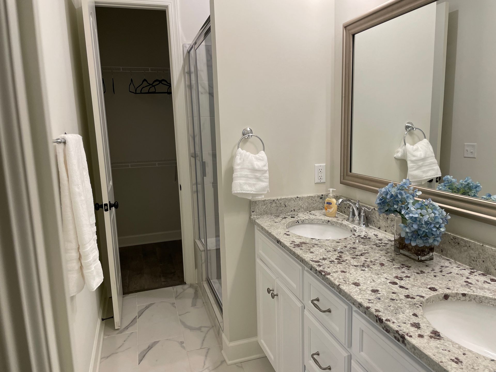 Bathroom with white vanity, granite countertop, mirror, shower, and walk-in closet.