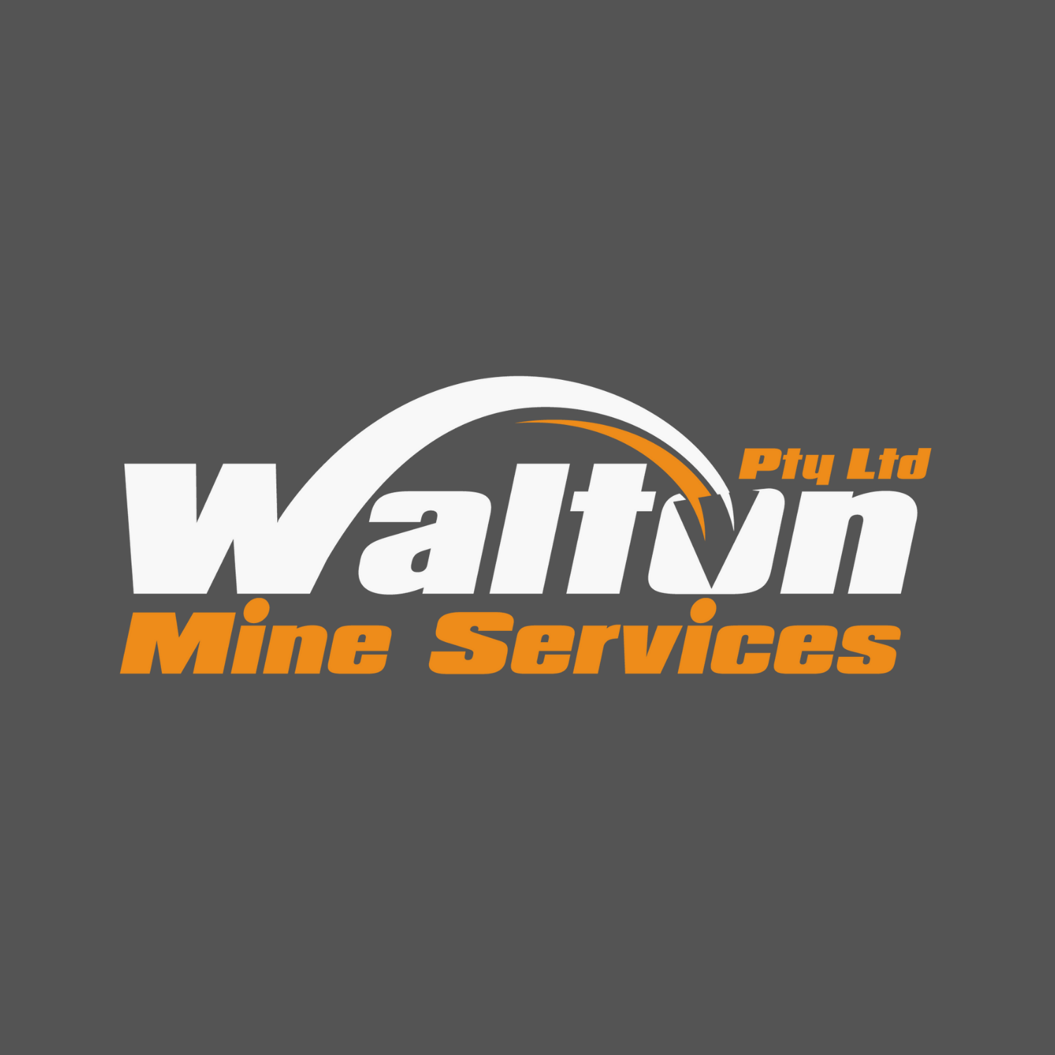 Walton mine services logo