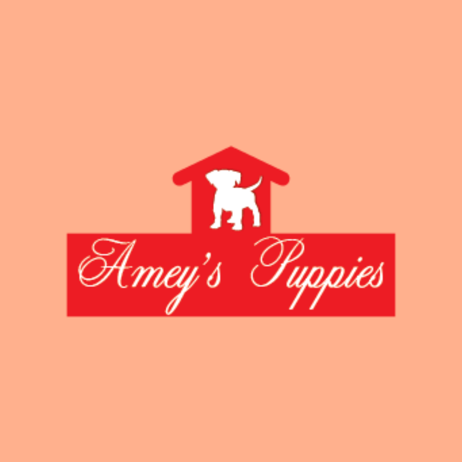 Ameys Puppies logo