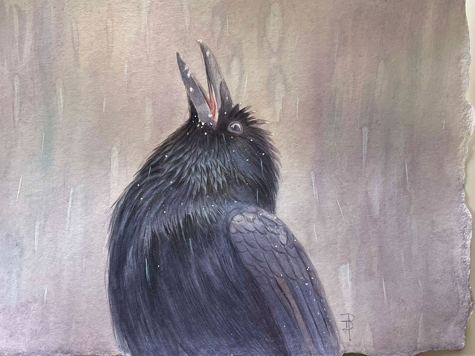 A watercolor painting of a black raven with its beak open, looking upward amidst soft, falling snow against a gray wash.