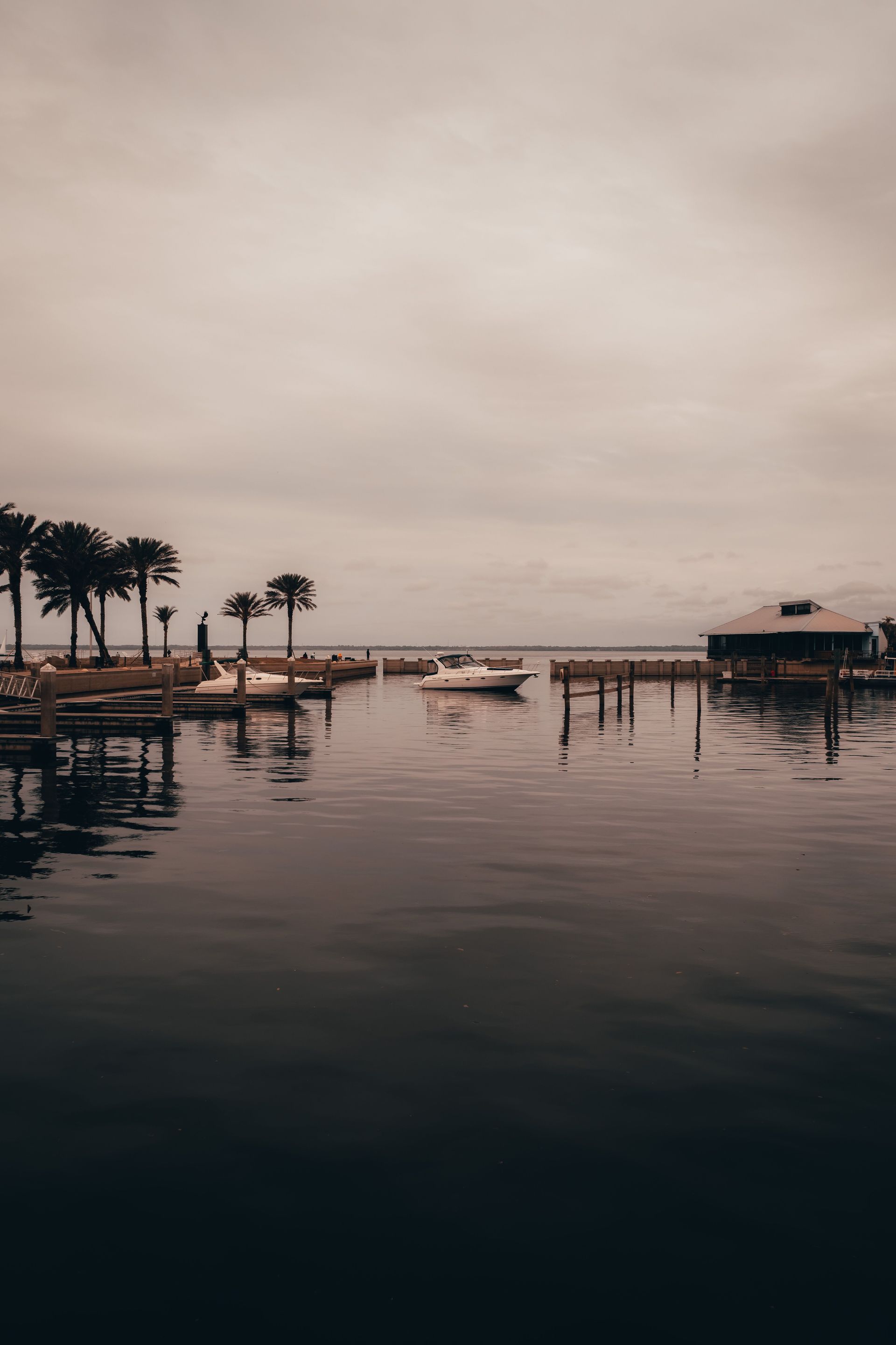 Calm marina at dusk with palm trees, boats, and reflective water under an overcast sky