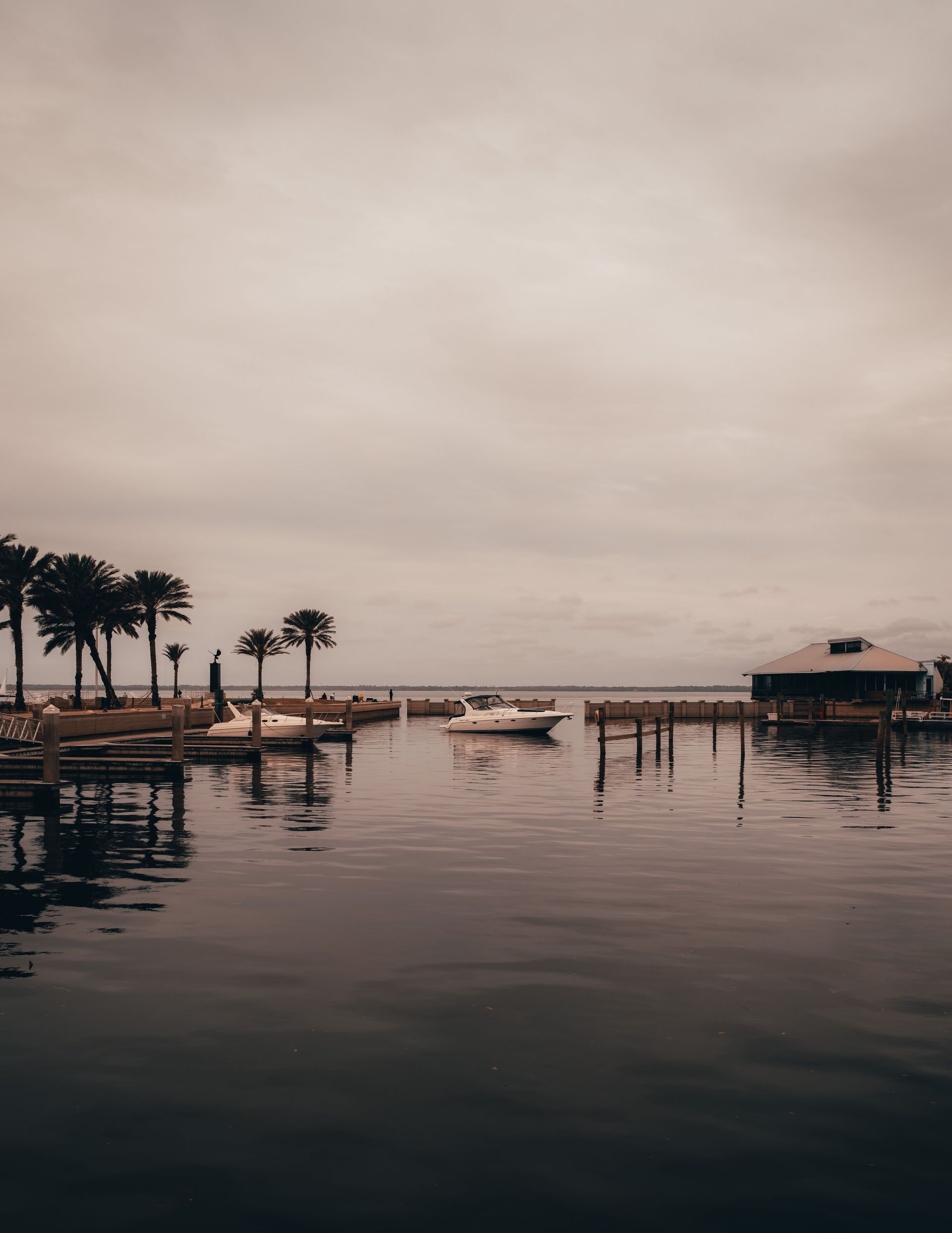 Calm marina at dusk with palm trees, docked boats, and still reflective water under an overcast sky