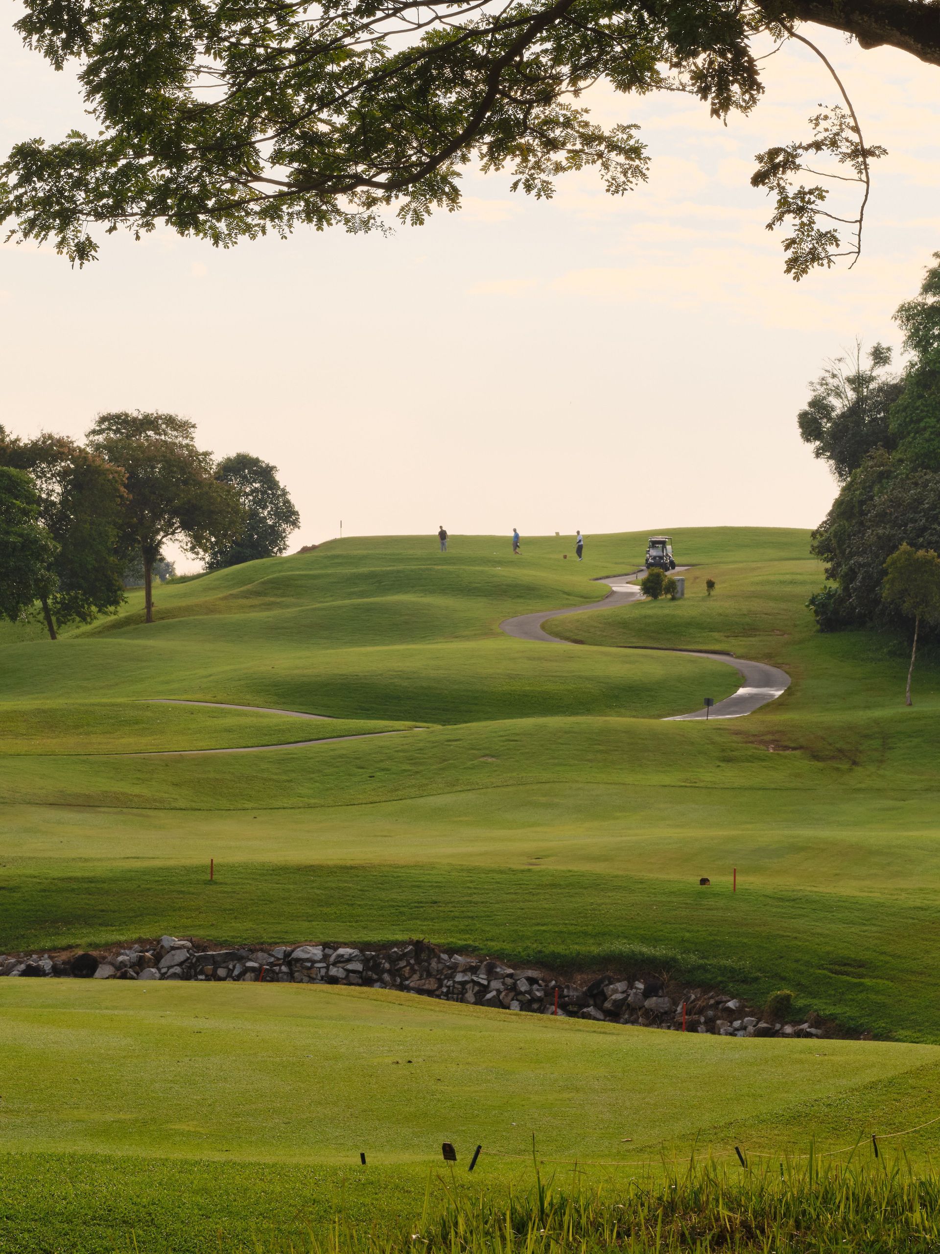 Rolling green golf course with a winding cart path and a few golfers on a hilltop