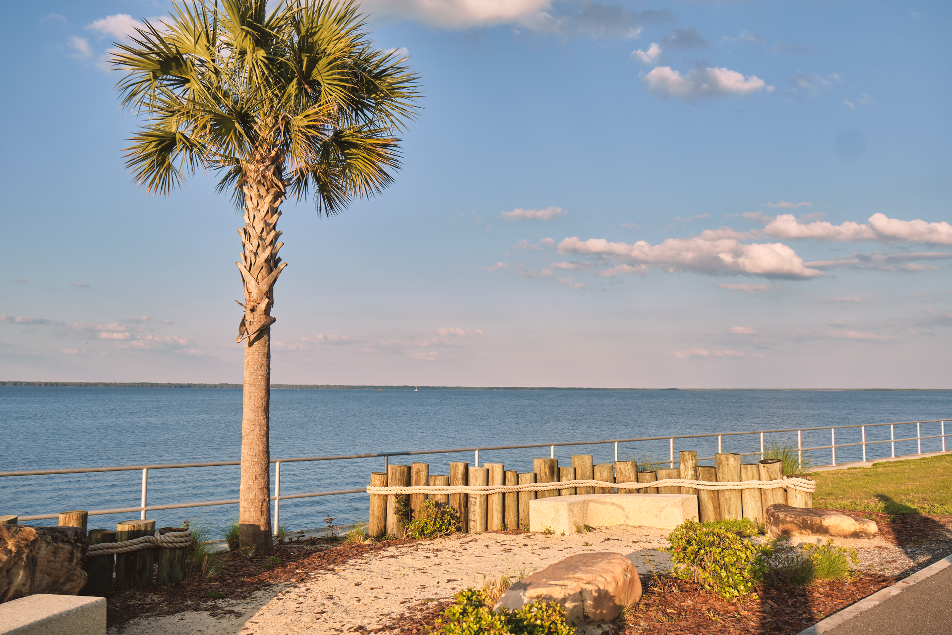 Palm tree by a calm waterfront at sunset, with a sandy path, flowers, and a railing along the shore