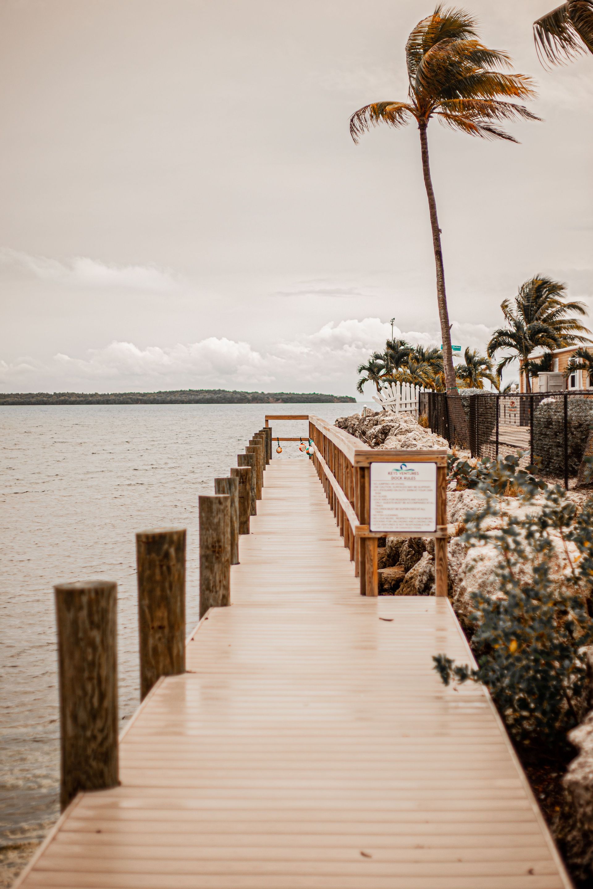 Wooden boardwalk beside calm water, with palm trees and a cloudy sky.