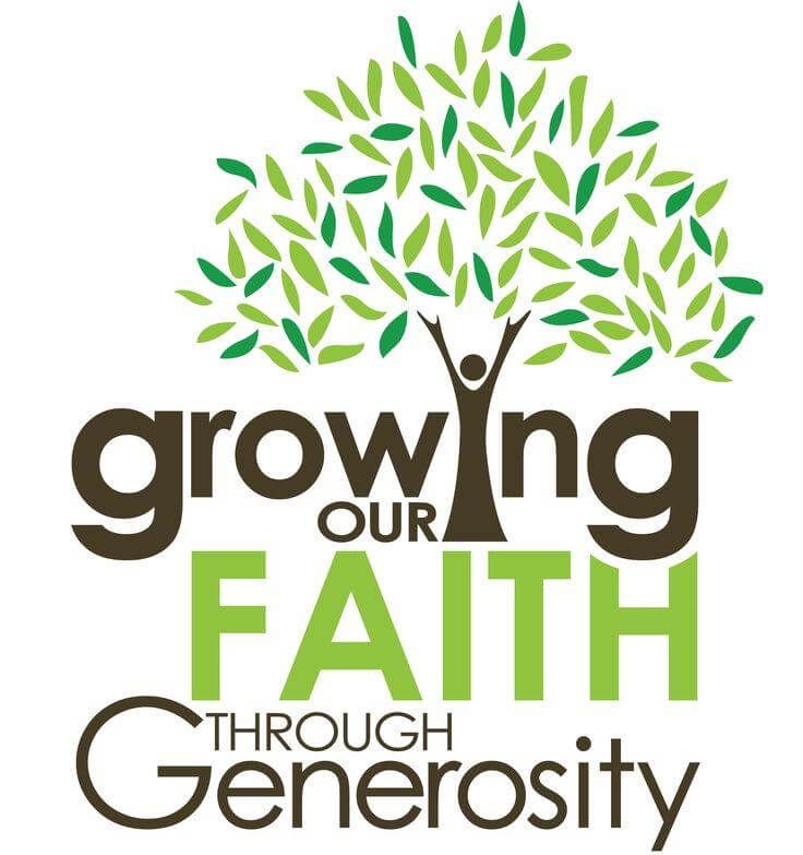 Stewardship 2025