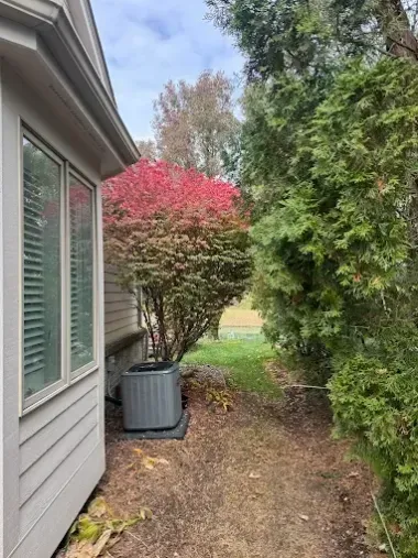 Narrow side yard beside a house with shrubs, a red-leaf tree, and a grassy opening ahead.