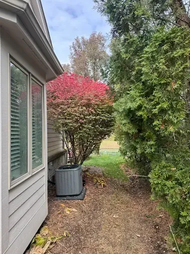 Side yard beside a house with a red-leaf shrub in a planter and a grassy opening beyond.