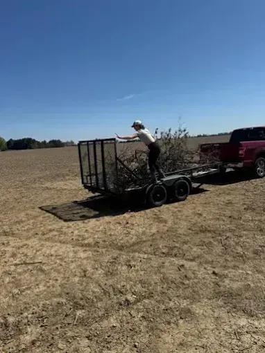 Person loading brush into a trailer hitched to a red pickup in a dry field under a clear blue sky