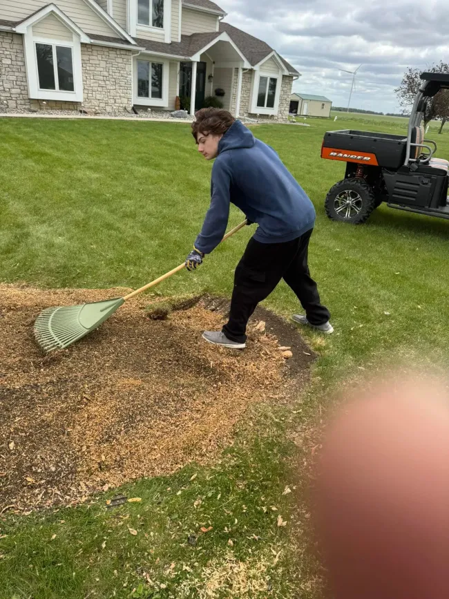 Person raking mulch in a yard beside a house, with a tractor nearby.