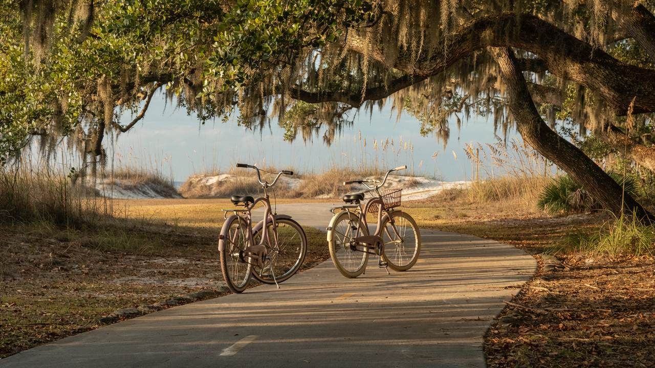 Shaded paved bike path under live oaks and Spanish moss leading toward the dunes on Hilton Head