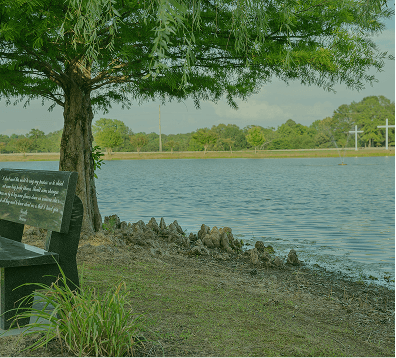 Lakeside park with a tree, bench, rocky shore, and calm water under a green canopy.