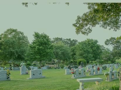 Rows of gray headstones in a green cemetery under trees on a cloudy day