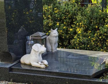 Two white cat statues beside a gravestone in a cemetery, with yellow flowers in the background