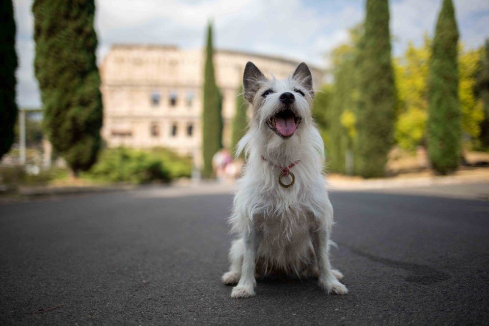 Albergo con dog sitter