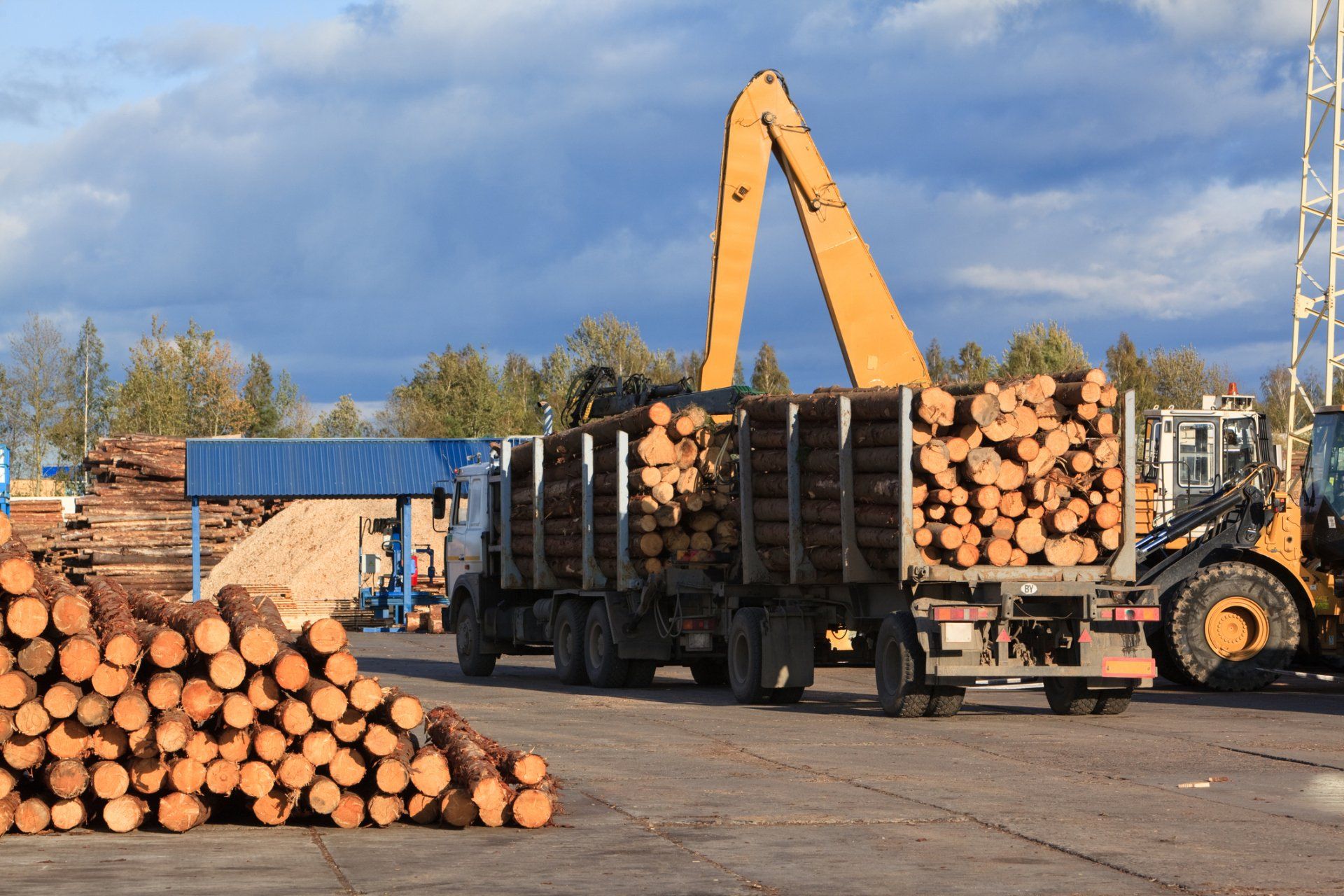 Timber Mills — Port Macquarie, NSW — Midcoast Compressed Timber Mills — Port Macquarie, NSW — Midcoast Compressed