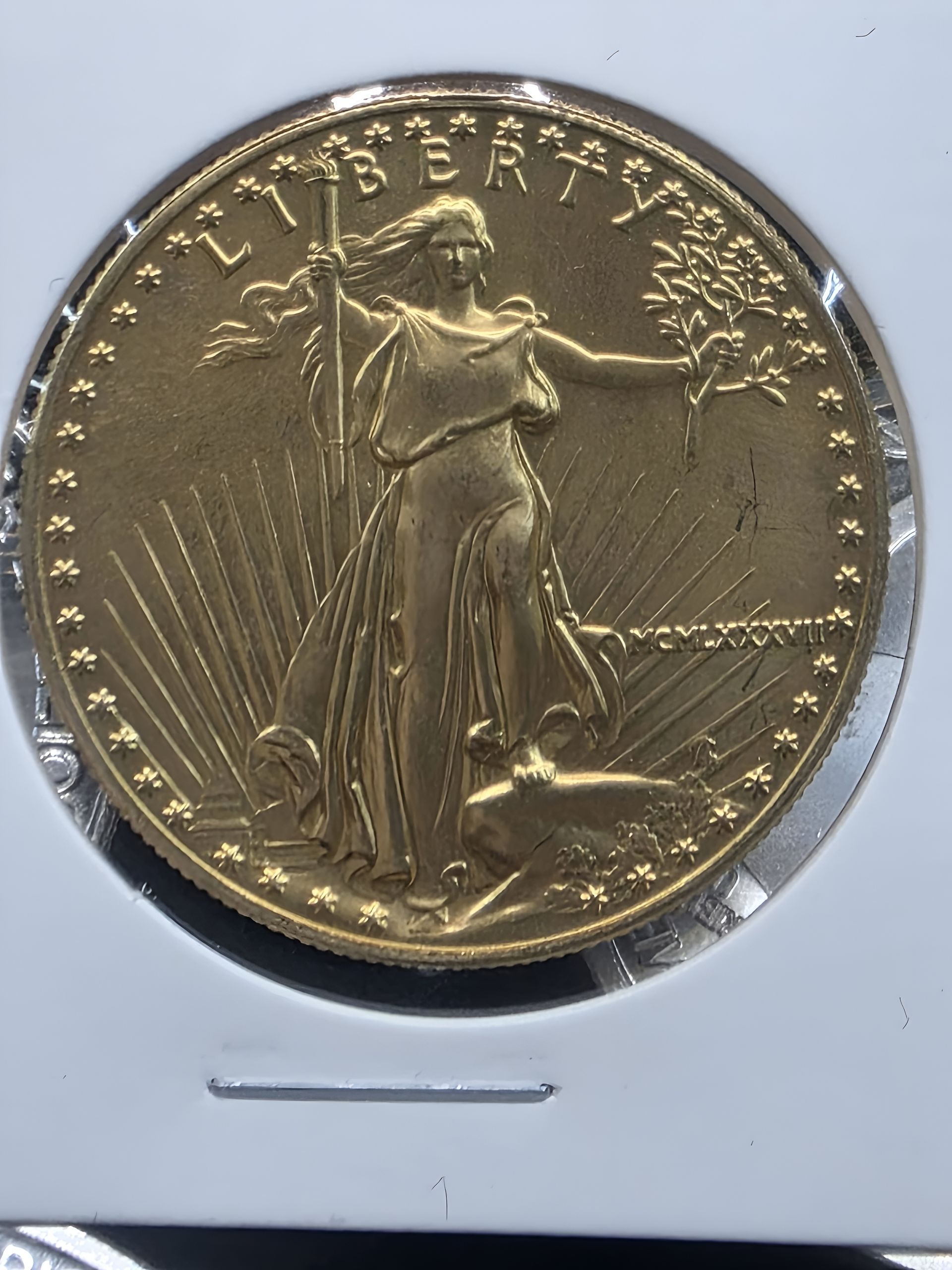 Gold U.S. Walking Liberty half dollar coin in a plastic holder, showing Liberty and stars